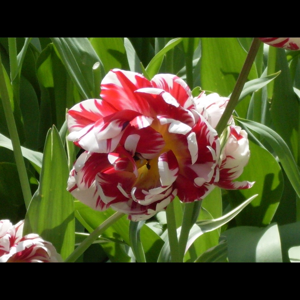 Meet your Posher, Linda